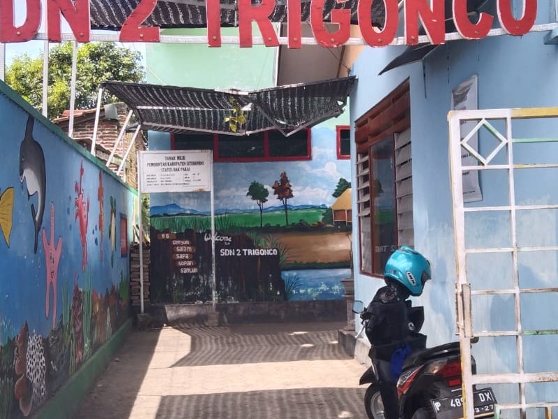 Tentang Sekolah